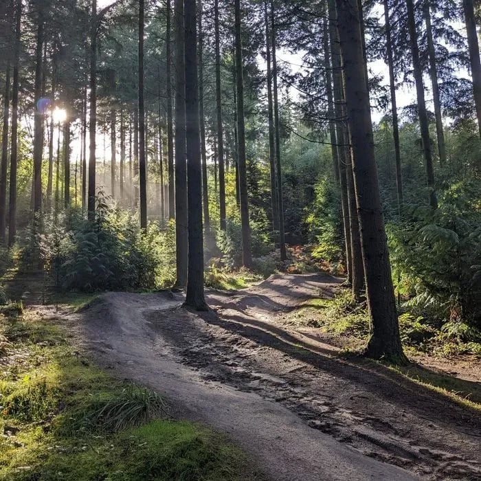 Rogate Downhill B1ke Park Closed