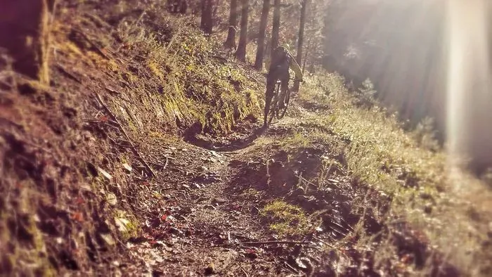 Cardinham Woods Mountain Biking