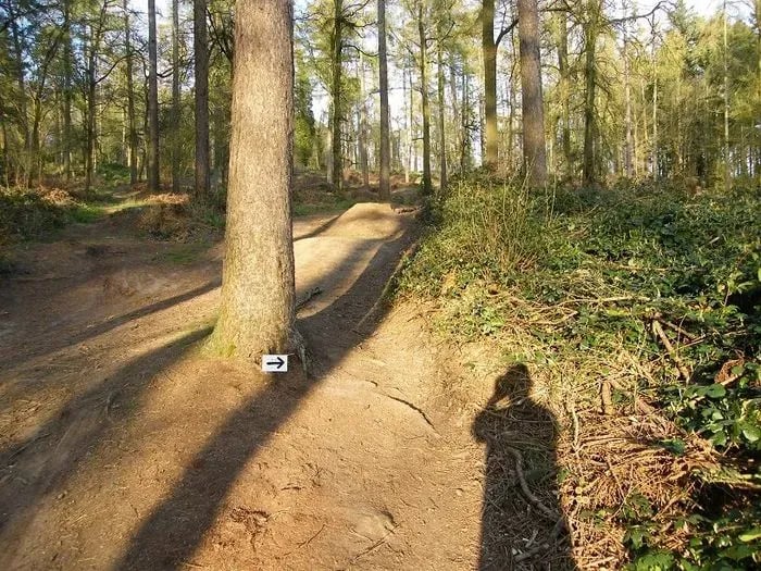 Badbury Clump Mountain Bike Trails