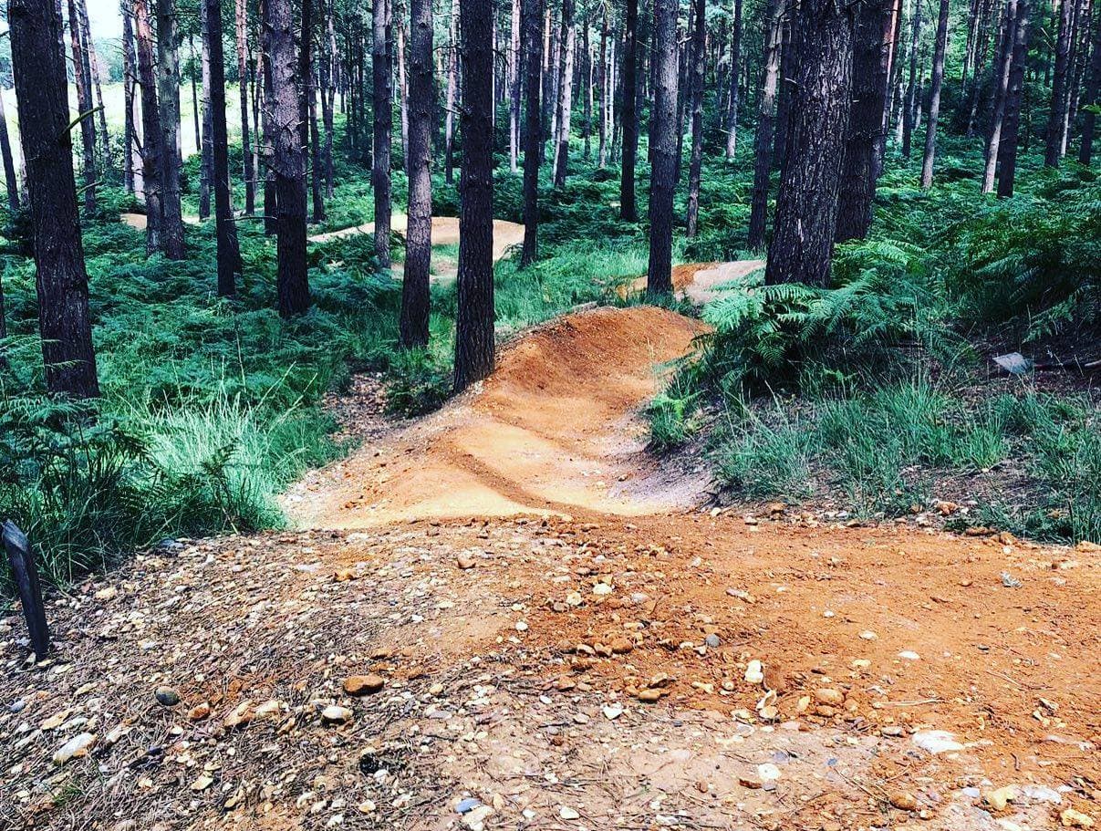 Swinley Forest Mountain Bike Centre