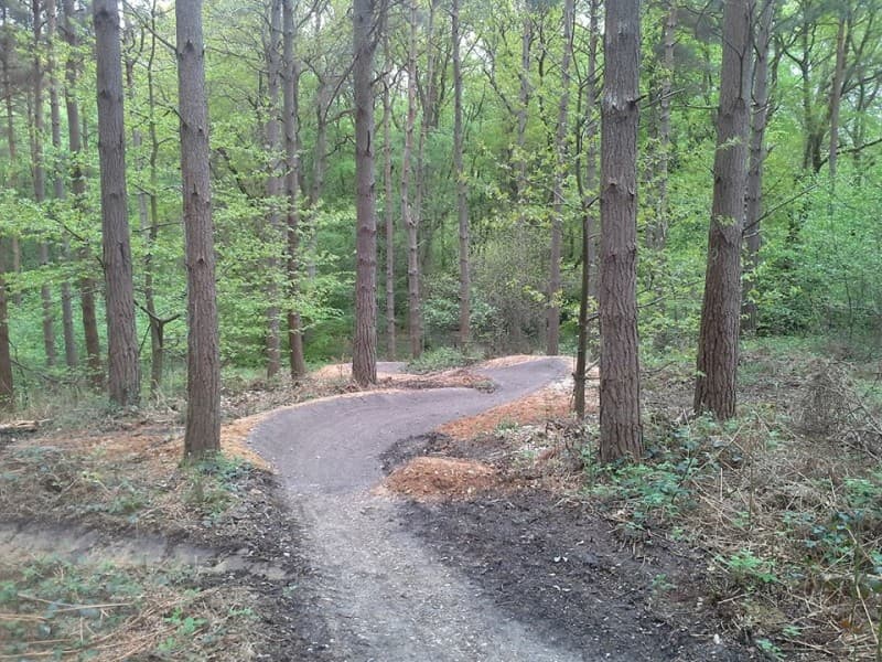 Bedgebury Forest Mountain Bike Trails
