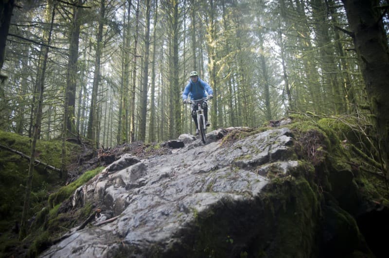 Davagh Forest Trails