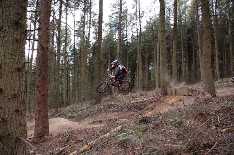 Silton Forest DH Track