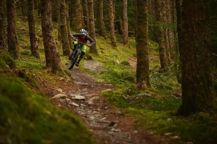 Coed y Brenin Mountain Bike Trail Centre