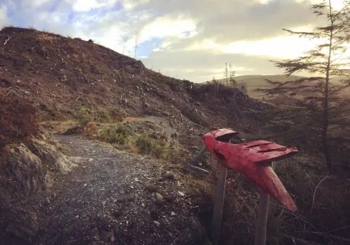 Machynlleth & Dyfi Mountain Bike Base