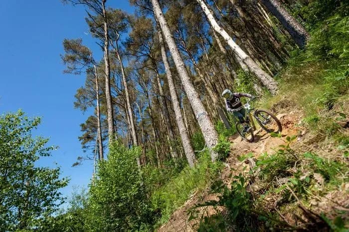 Afan Forest Mountain Bike Trail Centre