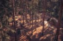 Chicksands Bike Park β Fern Flow