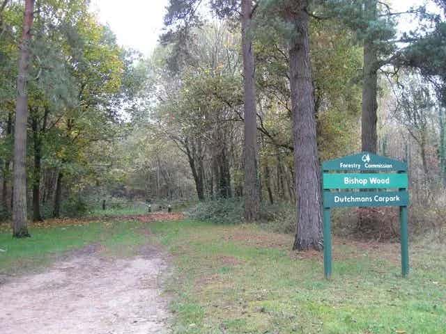 Bishop's Woods