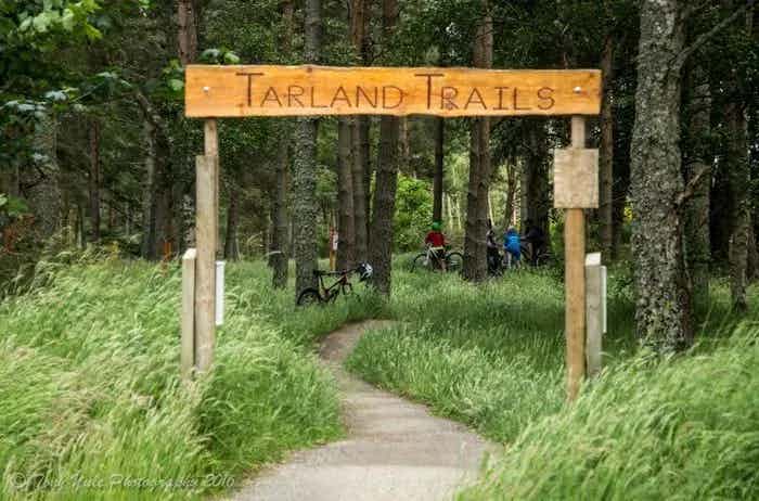 Tarland Trails Drummy Woods Mountain Bike Trails