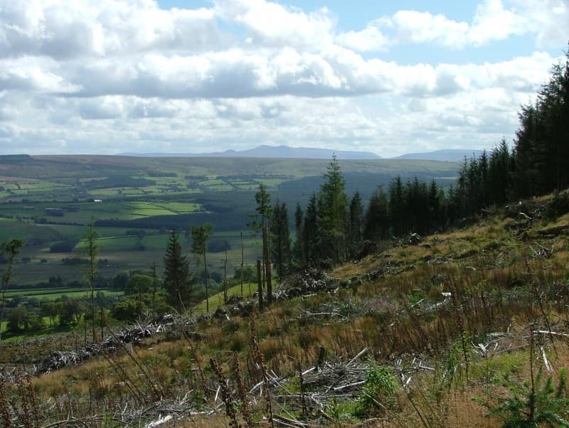 Irfon Forest Mountain Biking