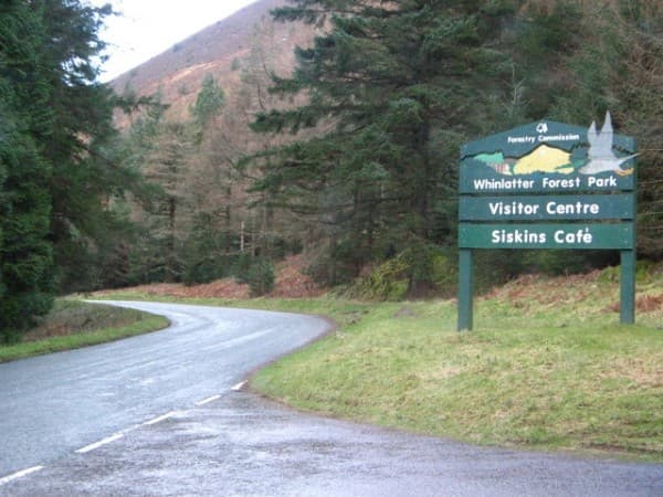 Whinlatter Forest Park Mountain Bike Trail Centre